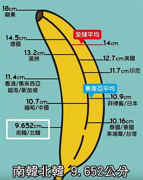 勃起前長度|男性下體多長先算正常？醫生曝陰莖平均尺寸 教1招增。